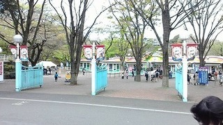 54889.jpg