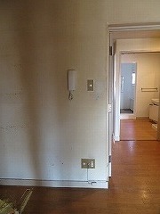 IMG_1335.jpg